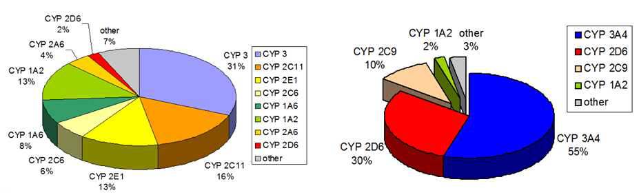 서양인 간세포의 CYP450 단백질 발현 분포도와 약물 대사 시 CYP450의 활성화 분포도