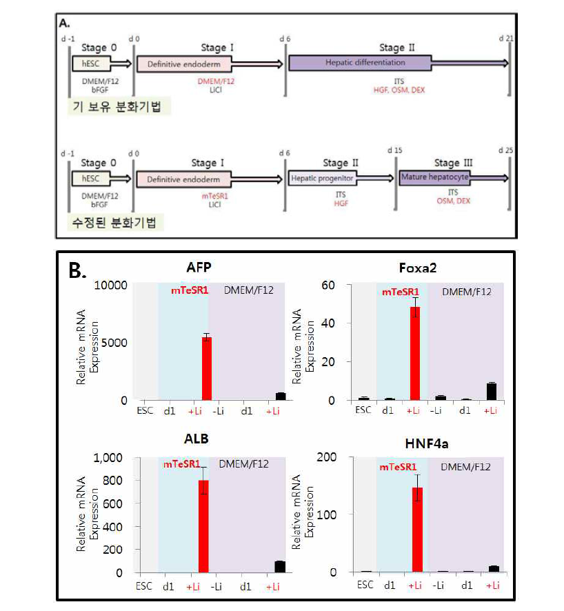 (A) 기 보유 분화 기법과 수정된 분화기법에 대한 모식도 (B) 리튬의 유무와 기본 배지의 차이에 따른 간내배엽 발달과 관련한 유전자의 real-time PCR