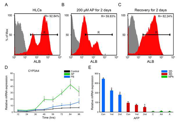 약물 반복 투여 이후 3D 간전구세포의 성숙도를 Flow cytometry기법과 real-time PCR을 이용하여 분석함.