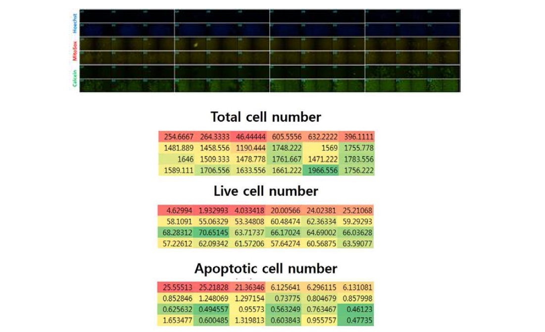 위의 분석방법을 이용한 결과를 정리하여 간독성 물질에 대한 heat map 구성 방안을 제시