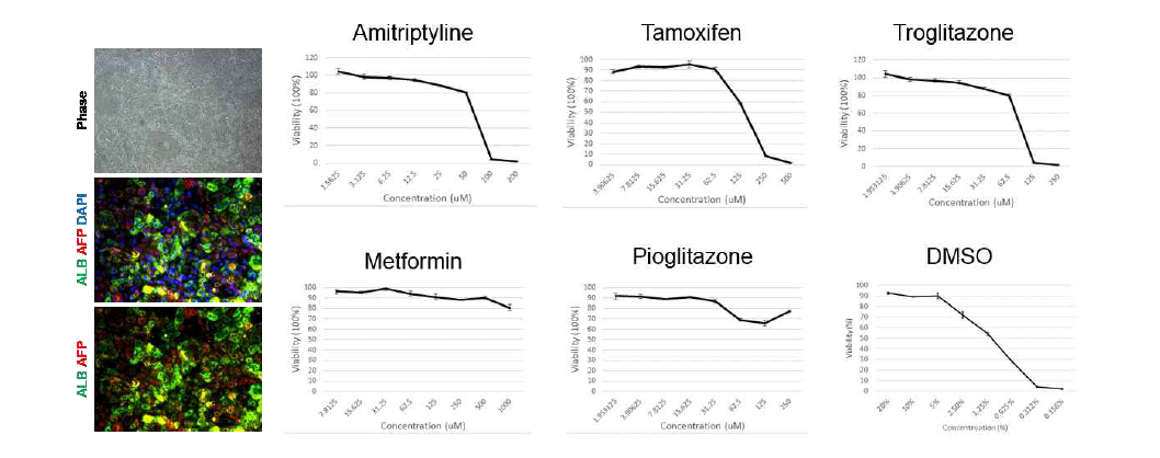 간독성 관련 약물의 농도에 따른 cell viability 실험. 인간배아줄기세포 유래 분화 간세포의 각 약물에 따른 독성평가 플랫폼 시행 결과. ALB/AFP 발현으로 매 분석마다 quality control 병행함. WST viability test를 약물마다 3회 반복 실험. 각 실험 당 n=3.