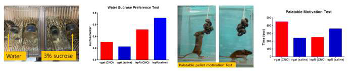 Two bottle test와 palatable pellet motivation test