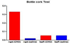 Bottle cork test 결과