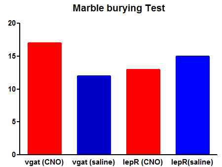 Marble burying test