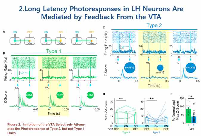 시상하부(LH)와 도파민쾌락중추(VTA) 사이의 신경 연결(2015 Cell Metabolism)