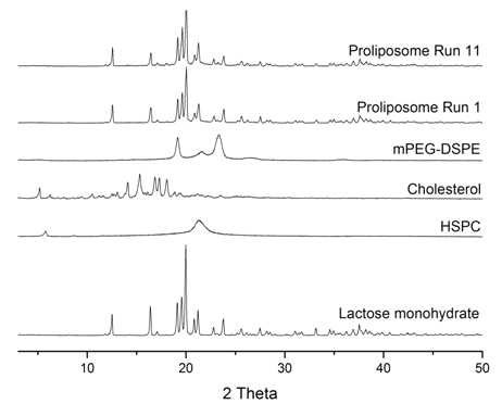 Proliposome과 부형제들의 PRXD 패턴