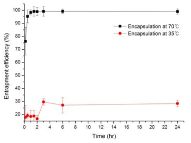온도에 따른 Doxorubicin Liposome의 봉입 효율