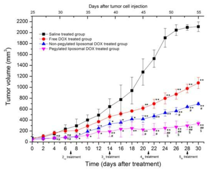 Tumor volumes of MCF-7 bearing BALB/c mice after treatments of saline, free doxorubicin, non-pegylated liposomal doxorubicin, pegylated liposomal doxorubicin.