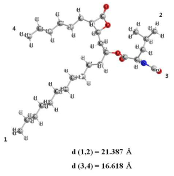 Three-dimension orlistat molecule with corresponding interatomic distances