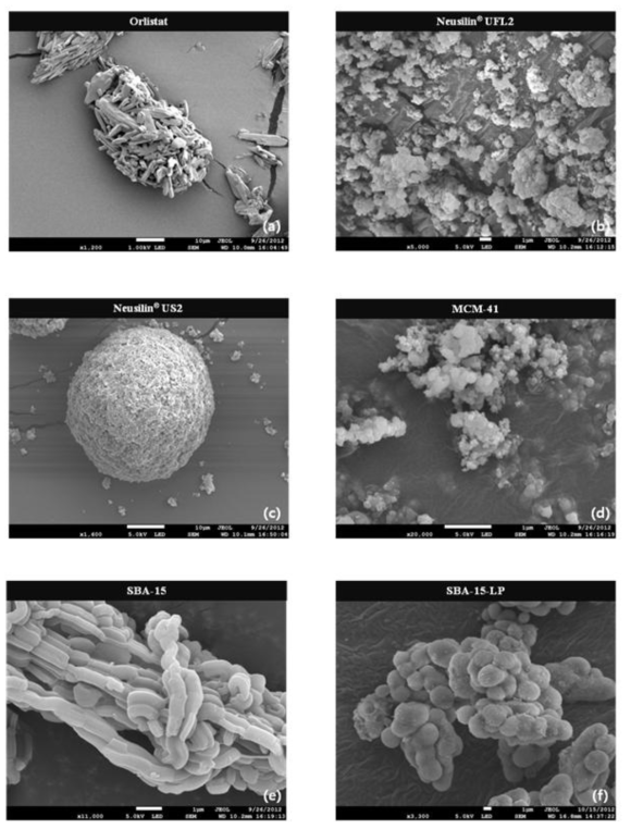 SEM image of raw orlistat and various mesoporous silica