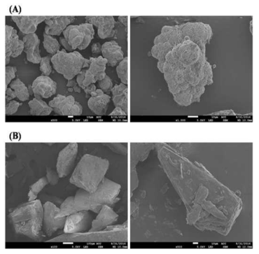 mPEG-DSPE(A) 및 steatylamine(B)의 SEM 사진