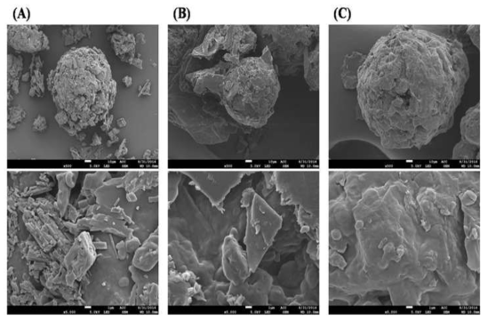 TF-ACZ(non-PEG)(A), TF-PEG/ACZ(B) 및 TF-PEG/SA/ACZ(C)의 SEM images