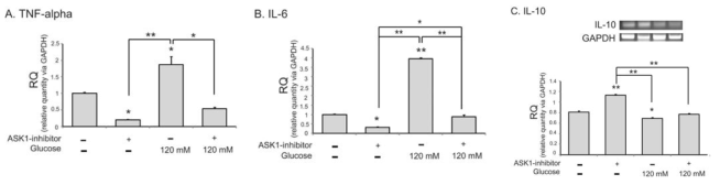 고농도 글루코스 스트레스에 의한 미세아교세포의 염증관련 인자의 mRNA 발현 변화