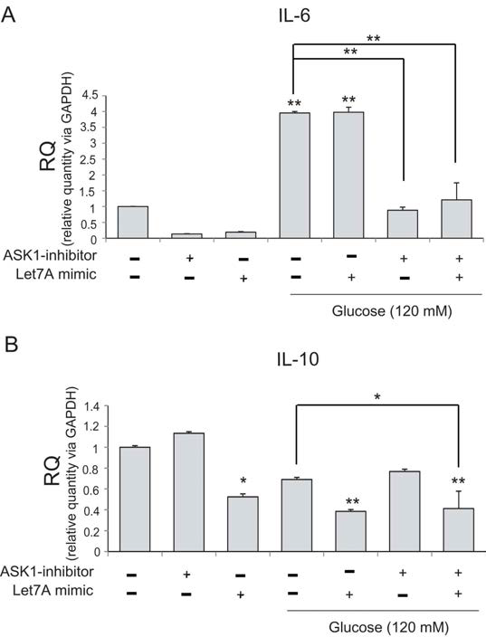 High glucose 환경에서 신경교세포에서 분비되는 Cytokine의 mRNA양 확인