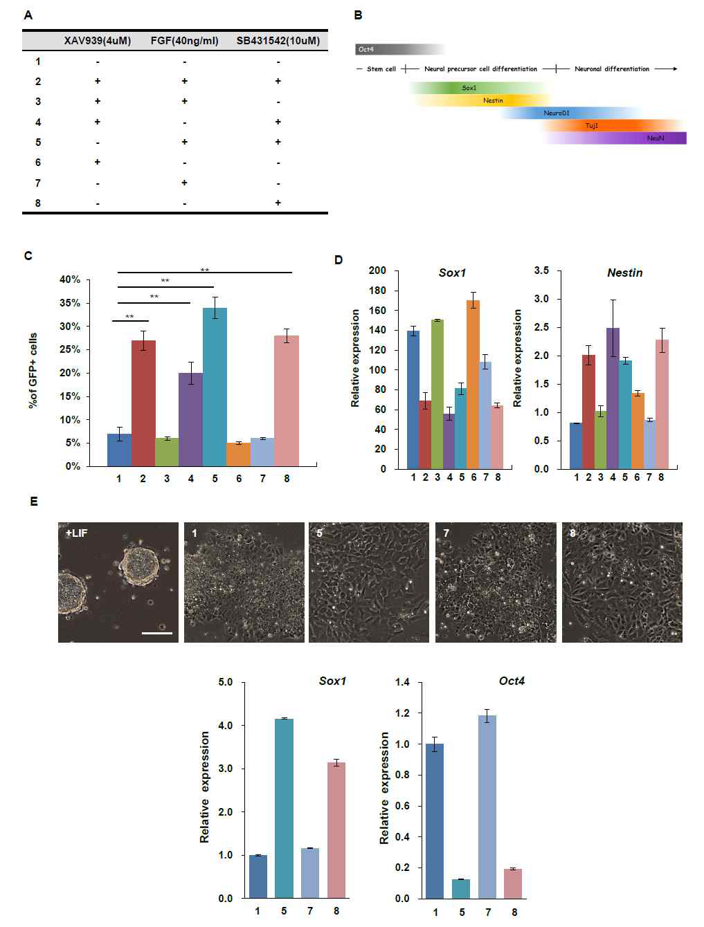 Combinatorial screening of small molecules for the neuronal differentiation of mouse embryonic stem cells.
