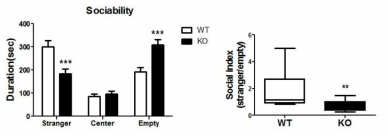 Reduced sociability in CNTNAP2 KO mice.