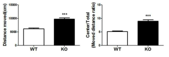 Prenatal CNTNAP2 KO mice induced hyperactive-like phenotypes.