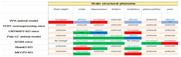 Brain structure phenome analysis from the ASD models.