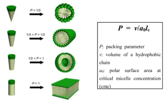 Dependence of nanostructure morphologies on the relative volume fraction of hydrophobic and hydrophilic blocks.