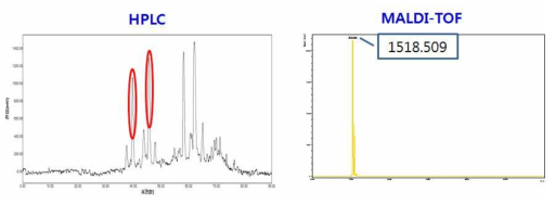 TAMRA 부착 펩타이드 HPLC & MALDI-TOF 데이터