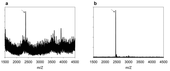 (a) 브로모 아세트산을 이용한 고리화 반응으로 형성된 고리형 펩타이드의 HPLC 정제후 MALDI-TOF MS 스펙트럼. (b) 사전 활성화 합성방법을 이용한 고리화 반응으로 형성된 고리형 펩타이드의 정제후 MALDI-TOF MS 스펙트럼.
