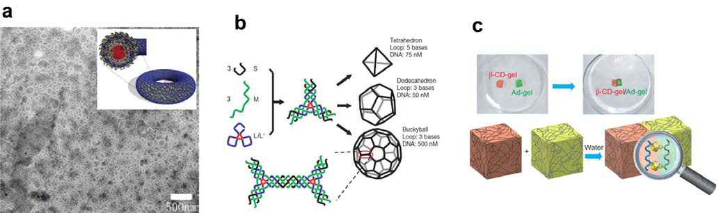 a) Toroidal nanostructure formation by block copolymer self-assembly, b) Self-assembly of DNA into supramolecular polyhedra, c) Macroscopic self-assembly through molecular recognition.