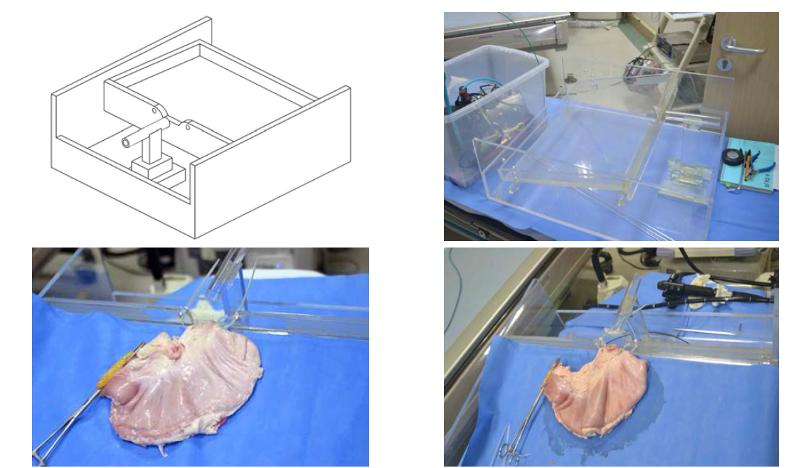 in vitro 실험대의 3D모델링(왼쪽 위) 실제모습(오른쪽 위) 위장 샘플이 올라간 모습(아래)