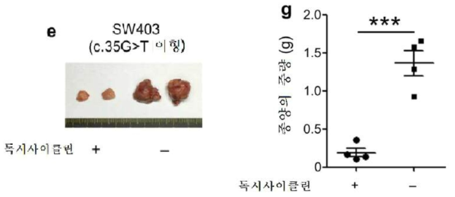 유전자 가위 치료 후 종양의 중량 비교