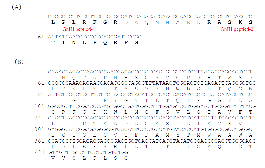 Partial cDNA sequence of GnIH (A) and GnIHR1 (B) in cinnamon clownfish.