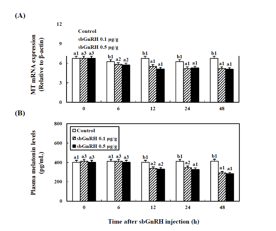 Time-course effects of the sbGnRH on the levels of MT mRNA (A) and melatonin activity (B) levels in the cinnamon clownfishn.