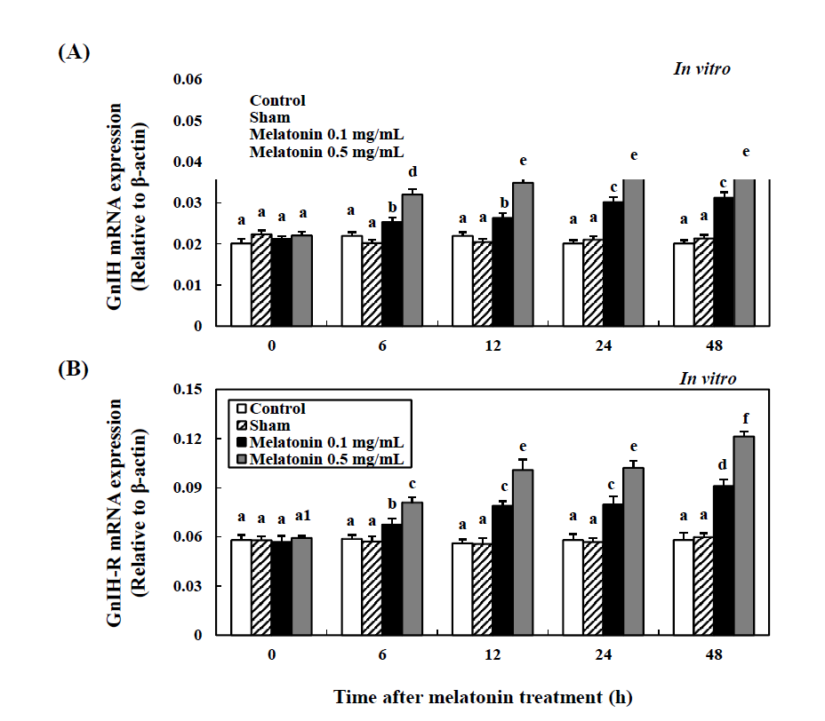 Time-course effects of the melatonin on the expression of GnIH (A) and GnIHR1 (B) in the cultured brain of cinnamon clownfish