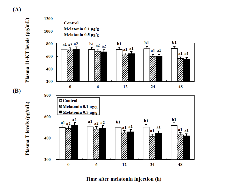 Time-course effects of the melatonin on the plasma levels of 11-KT (A), and T (B) in the cinnamon clownfish using a plate reader.