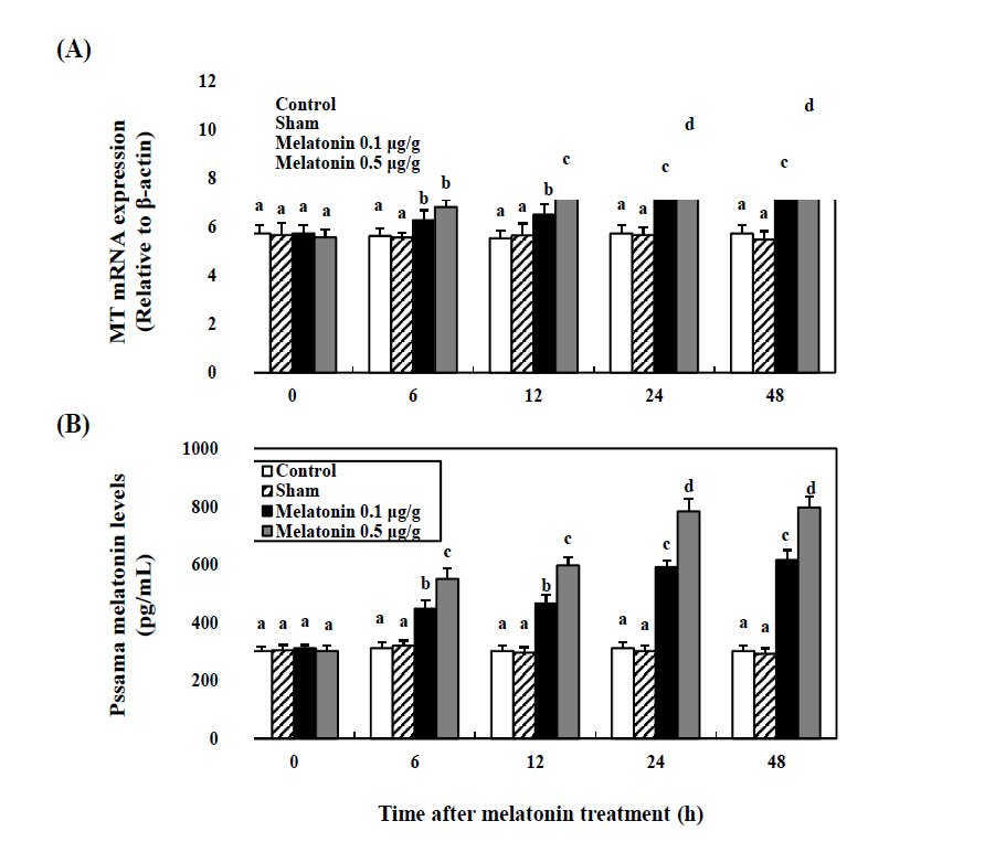 Time-course effects of the melatonin (0.1 and 0.5 μg/g) on the levels of MT mRNA expression (A) and plasma melatonin (B) in the cinnamon clownfish