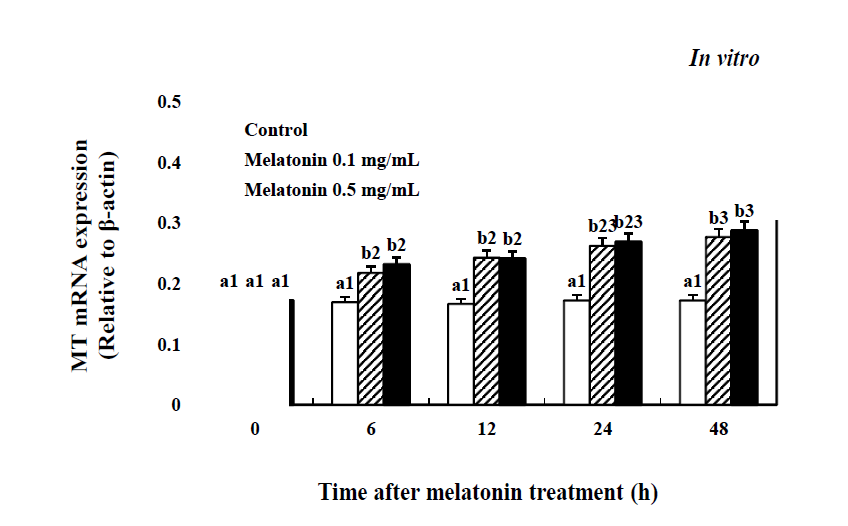 Time-course effects of the melatonin (0.1 and 0.5 mg/mL) on the MT mRNA expression in the cultured brain of cinnamon clownfish (in vitro).