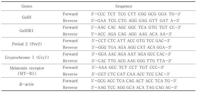 Primers for QPCR