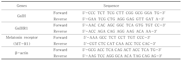 Primers for QPCR