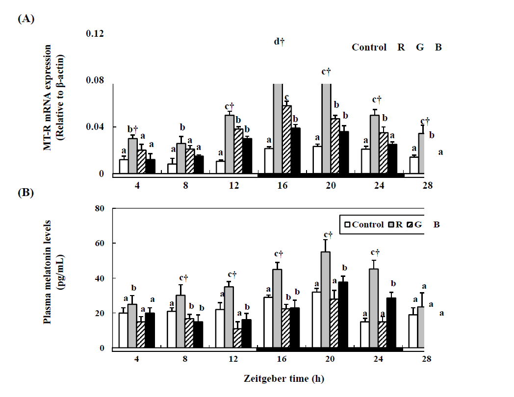 Changes in the MT-R1 mRNA expression (A) and plasma melatonin levels (B) in the cinnamon clownfish under lighting conditions using red (R), green (G), and blue (B) LEDs and a white fluorescent bulb (control), as measured by quantitative real-time PCR.