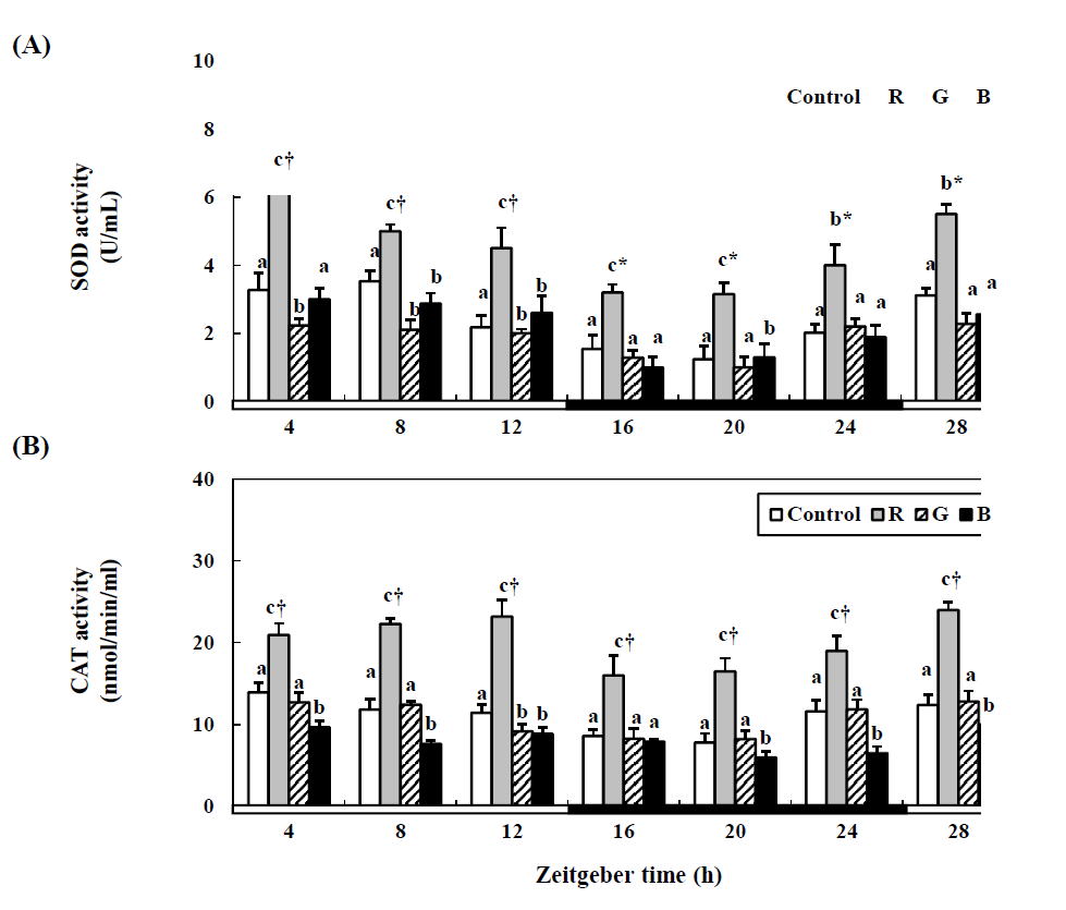 Changes in the SOD (A) and CAT (B) activity in the cinnamon clownfish under lighting conditions using red (R), green (G), and blue (B) LEDs and a white fluorescent bulb (control), as measured by quantitative real-time PCR.