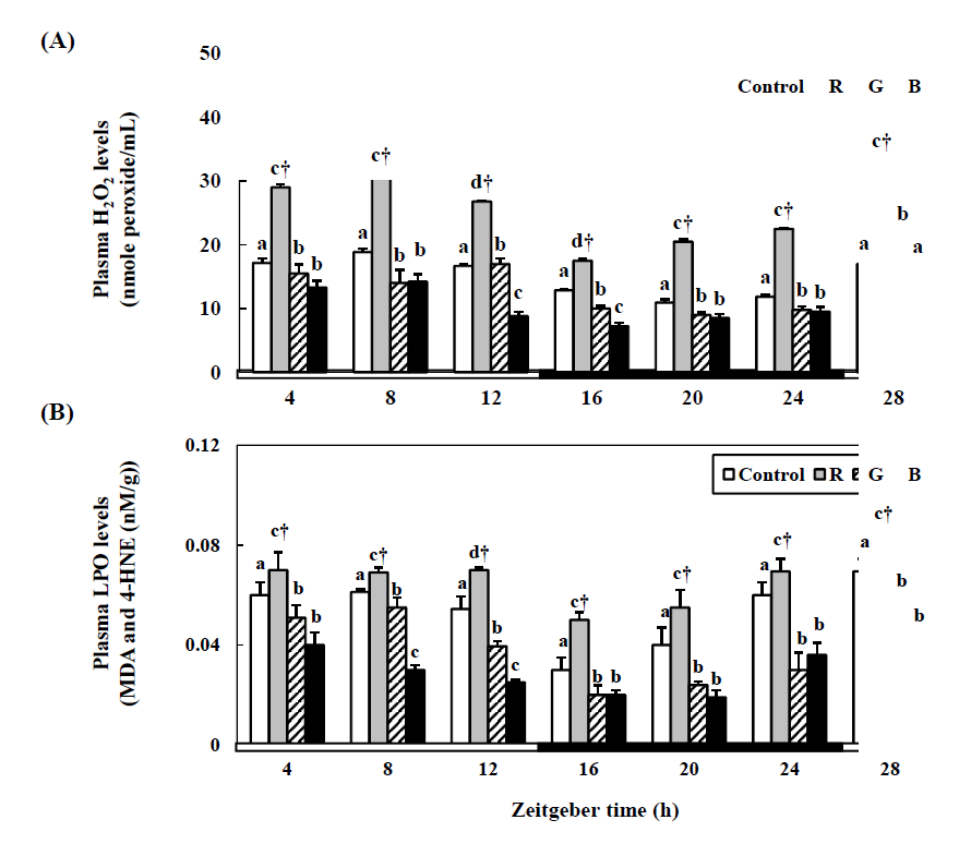 Changes in the plasma H2O2 (A) and LPO (B) levels in the cinnamon clownfish under lighting conditions using red (R), green (G), and blue (B) LEDs and a white fluorescent bulb (control), as measured by quantitative real-time PCR.