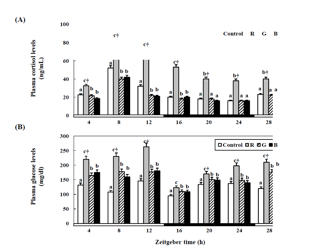 Changes in the plasma cortisol (A) and glucose (B) levels in the cinnamon clownfish under lighting conditions using red (R), green (G), and blue (B) LEDs and a white fluorescent bulb (control), as measured by quantitative real-time PCR.