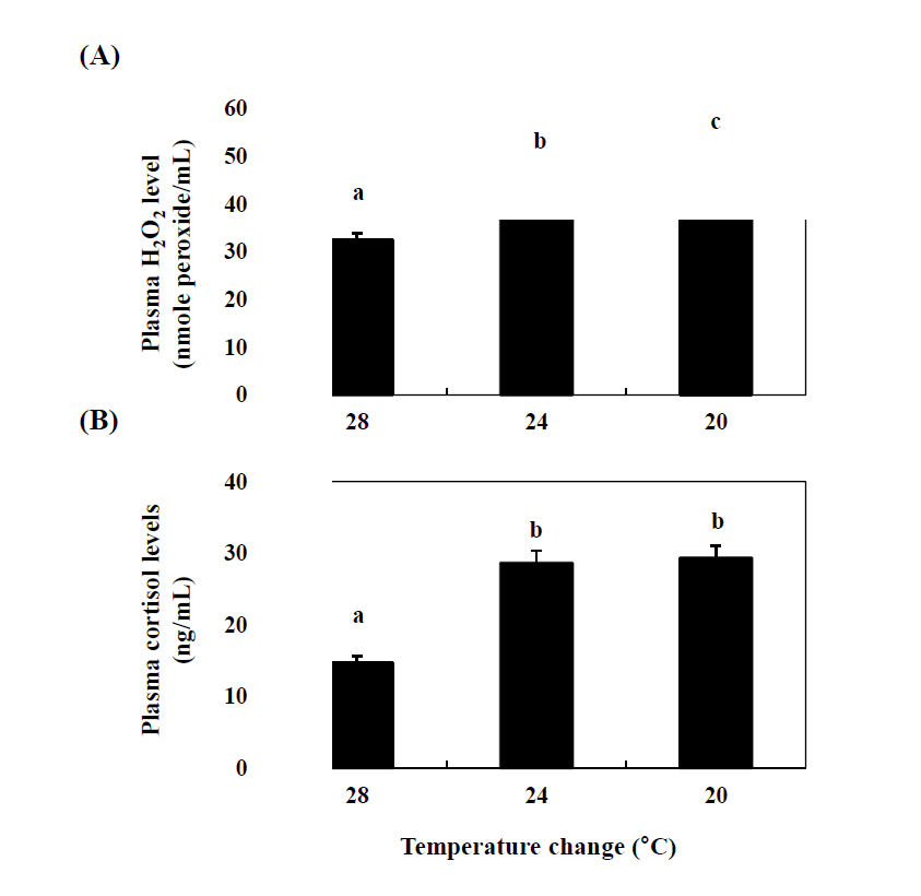Changes in the plasma H2O2 (A) and cortisol (B) levels in the cinnamon clownfish during temperature change.