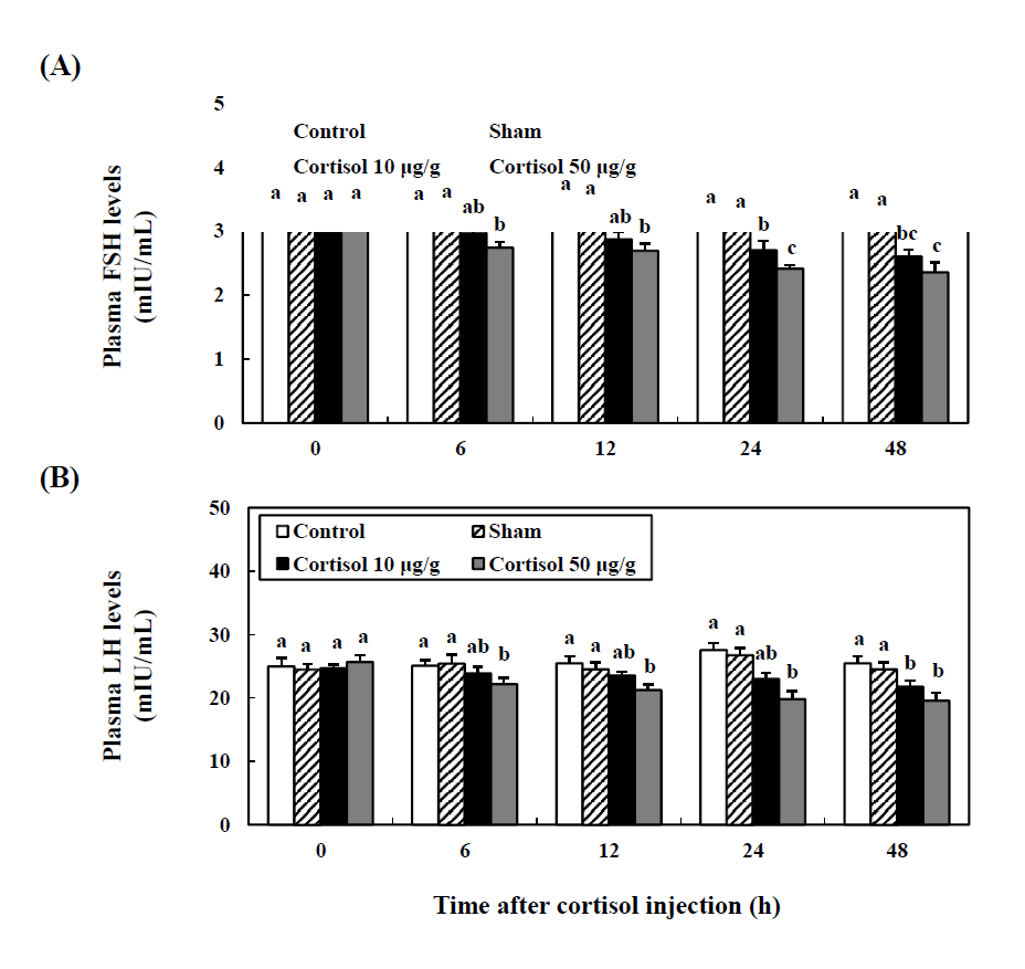 The activity of plasma FSH (A) and LH (B) of cinnamon clownfish during 48 h after cortisol injection (10 μg/g and 50 μg/g) was also analyzed with a plate reader.