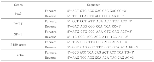 Primers for QPCR