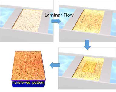 층류를 이용한 대면적 패턴의 모식도