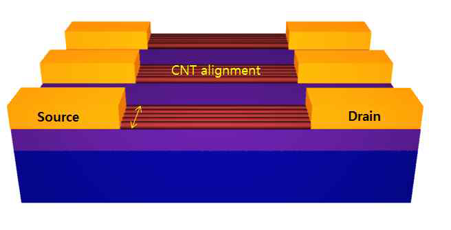 탄소나노튜브 배열로 이루어진 트랜지스터의 모식도