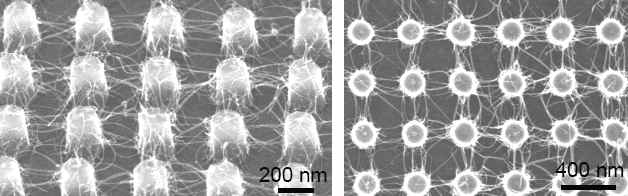 Self-assembly using carbon nanotubes