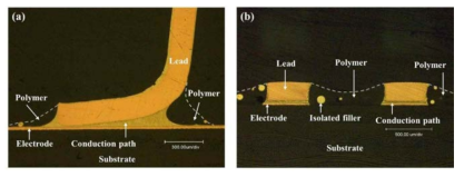 Morphology of the conduction path between formed by using hybrid composite with reduction capability.