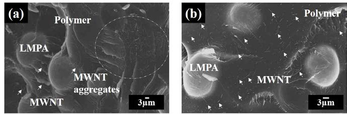 Dispersion of MWNT and LMPA filler in the formulated nano hybrid composite with (a) pristine MWNTs and (b) acid-treated MWNTs.