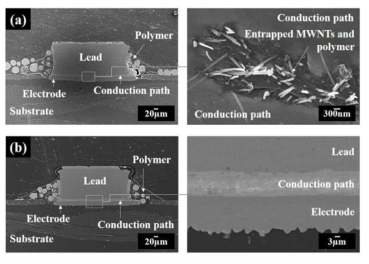 Morphology of the conduction path by using nano hybrid composite with (a) pristine MWNTs and (b) acid-treated MWNTs.