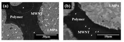 Dispersion of MWNT in the QFP joint by using nano hybrid composite with (a) pristine MWNTs and (b) acid-treated MWNTs.